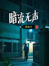 暗流无声 封面