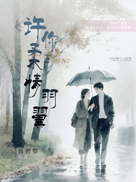 许你柔情羽翼 封面