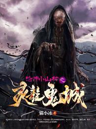 恐怖小山村之灵龙鬼城 封面