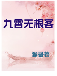 九霄无根客 封面