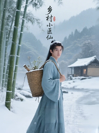 乡村小医仙传奇 封面
