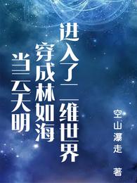 进了红楼二维世界？打碎它 封面