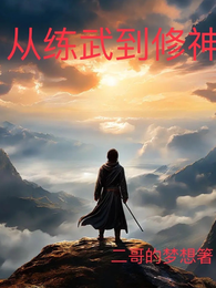 从练武到修神 封面