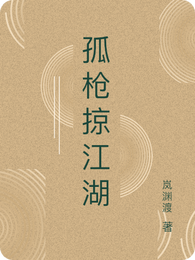 孤枪掠江湖 封面
