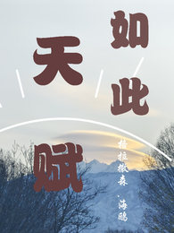 如此天赋 封面