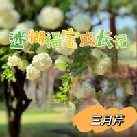 迷糊福宝成长记 封面