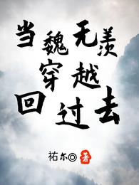 当魏无羡穿越回过去 封面