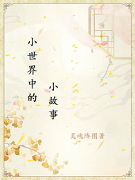 小世界中的小故事 封面