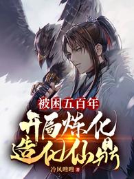 被困五百年,开局炼化造化仙鼎 封面