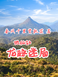 地仙劫：龙脉迷局 封面