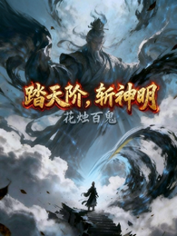 踏天阶，斩神明 封面