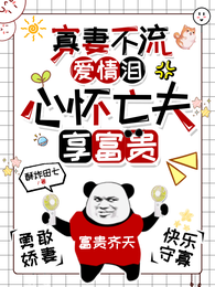 寡妻不流爱情泪，心怀亡夫享富贵 封面