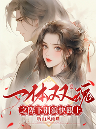 一体双魂之陛下别浪快跟上 封面