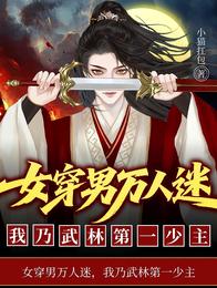 女穿男万人迷,我乃武林第一少主 封面
