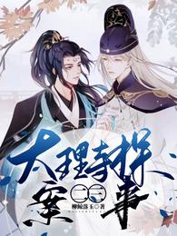 大理寺探案二三事 封面